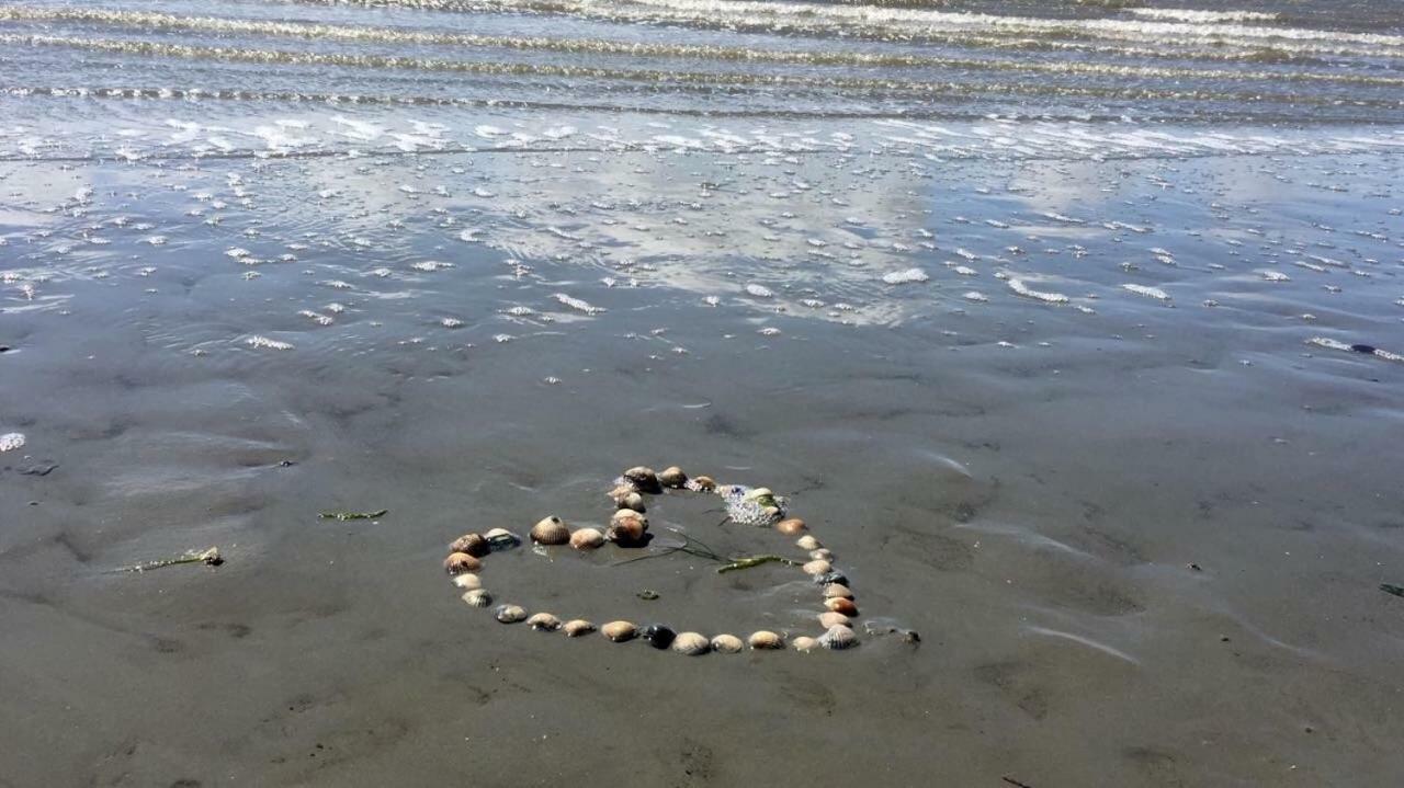 Strandhaus Kleine Perle 比苏姆 外观 照片